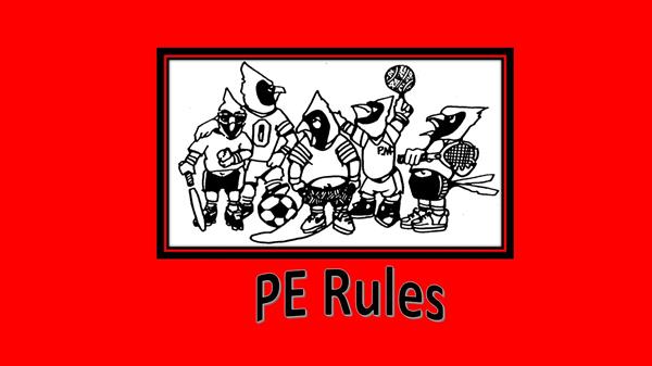 PE Rules Logo PE Rules Logo